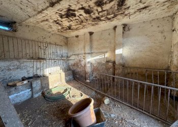 Rustic Via Prabernasca, Rivalta di Torino - photo 11