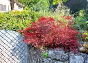 Villa Unifamiliare Endine Gaiano - foto 12