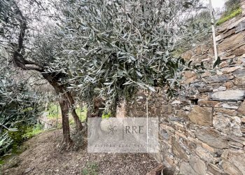 Attico via Colla Micheri, Laigueglia - foto 27