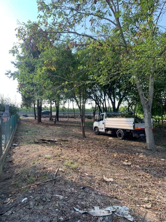 Terreno - Villa via Cristo, Bomporto - foto 3