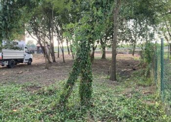 Terreno - Villa via Cristo, Bomporto - foto 4