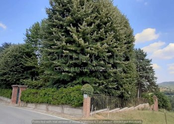 6 esterno parco - Villa Regione Prissolo, 48, Sciolze - foto 18