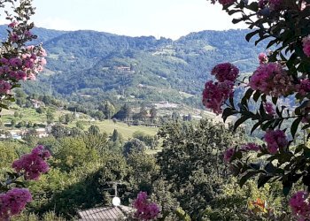 1 panorama - Villa Regione Prissolo, 48, Sciolze - foto 3