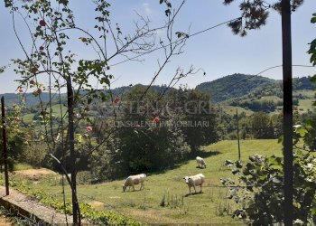 2 mucche - Villa Regione Prissolo, 48, Sciolze - foto 35