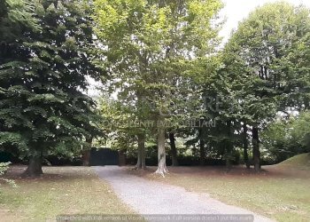 img-20210804-wa0016 - Villa Regione Prissolo, 48, Sciolze - foto 39