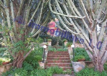 Dettagli - Villa via Verderame, 30, Paceco - photo 13