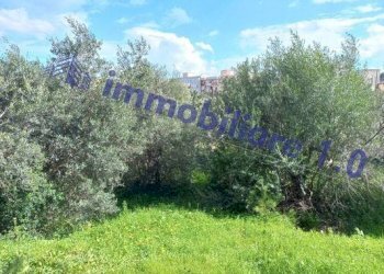 Giardino - Villa via Verderame, 30, Paceco - photo 32