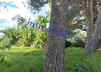 Giardino - Villa via Verderame, 30, Paceco - photo 33