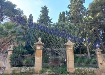 Dettagli - Villa via Verderame, 30, Paceco - foto 1