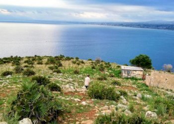 Dettagli - Rustico san paolo della croce, 1, Castellammare del Golfo - foto 4