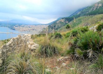 Dettagli - Rustico san paolo della croce, 1, Castellammare del Golfo - foto 13