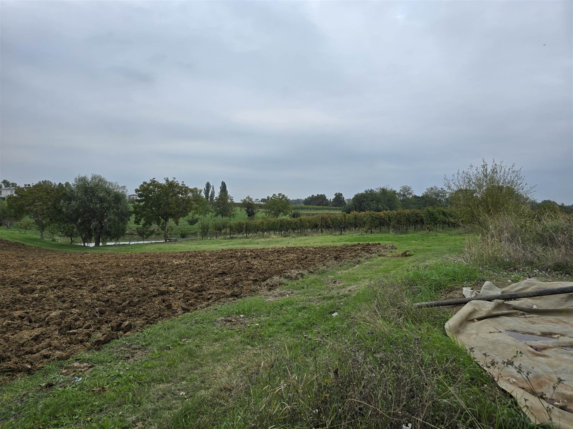 Rustico Castelvetro di Modena - foto 2