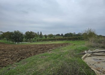 Rustico Castelvetro di Modena - foto 2