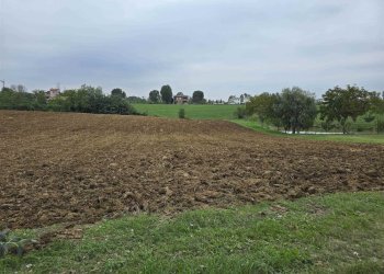 Rustico Castelvetro di Modena - foto 5