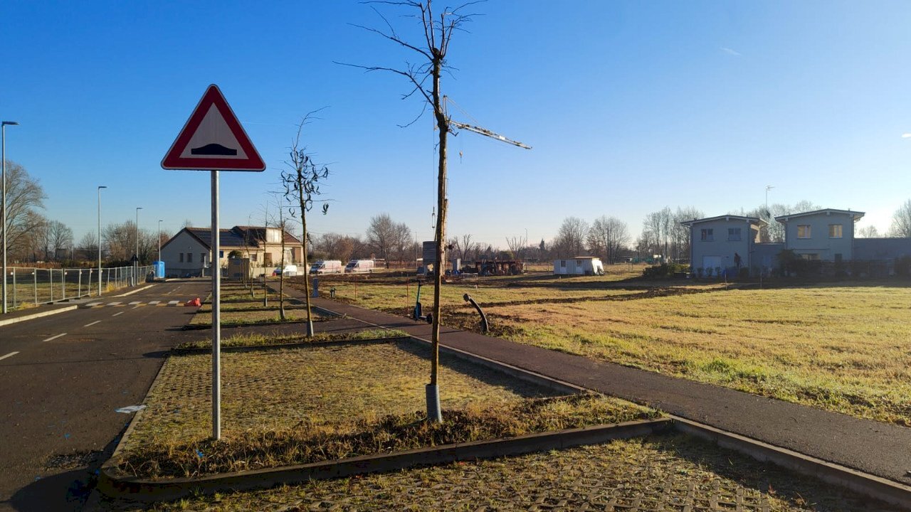 Building land Reggio nell'Emilia - photo 2