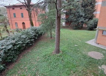 Apartment Forlì - photo 8