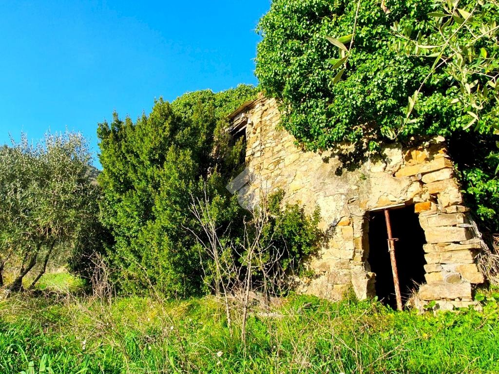 Rustic Str. Moreni, Sanremo - photo 2