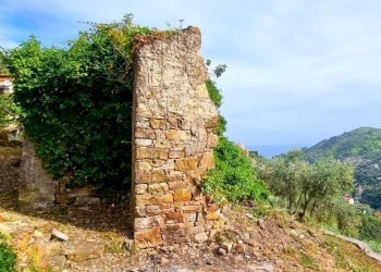 Rustic Str. Moreni, Sanremo - photo 4