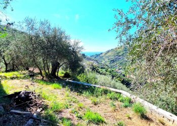 Rustic Str. Moreni, Sanremo - photo 6