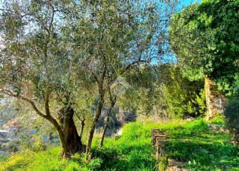 Rustic Str. Moreni, Sanremo - photo 7