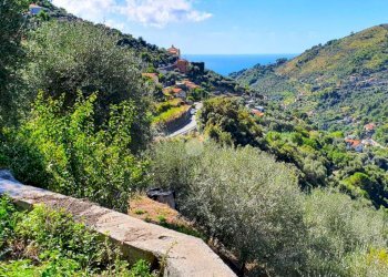 Rustic Str. Moreni, Sanremo - photo 10