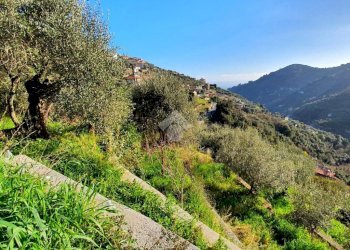 Rustic Str. Moreni, Sanremo - photo 11