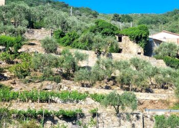 Rustic Str. Moreni, Sanremo - photo 12