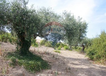 Rustico Via Segesta, Buseto Palizzolo - foto 10