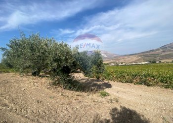 Rustico Via Segesta, Buseto Palizzolo - foto 11