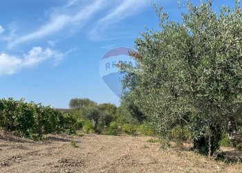 Rustico Via Segesta, Buseto Palizzolo - foto 12