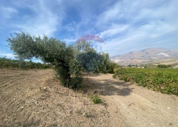 Rustico Via Segesta, Buseto Palizzolo - foto 13