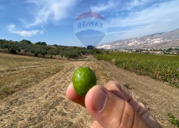 Rustico Via Segesta, Buseto Palizzolo - foto 14