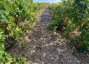 Rustico Via Segesta, Buseto Palizzolo - foto 16