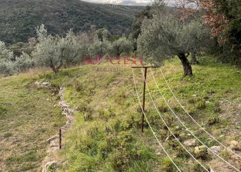 Rustico Roccastrada - foto 25