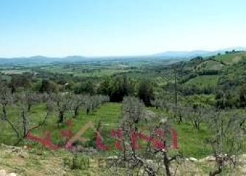 Rustico Roccastrada - foto 26