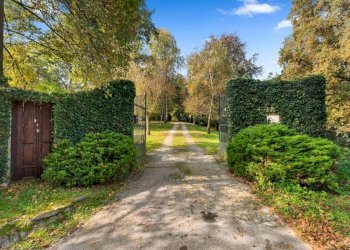 Giardino - Villa via San Vitale, 9, Roppolo - foto 5
