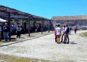 Dettagli - Rustico contrada Valle Nuccio, Alcamo - foto 17