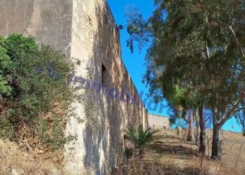 Terreno - Rustico contrada Valle Nuccio, Alcamo - foto 31