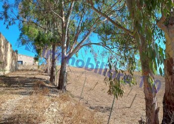 Terreno - Rustico contrada Valle Nuccio, Alcamo - foto 32