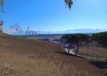 Terreno - Rustico contrada Valle Nuccio, Alcamo - foto 33