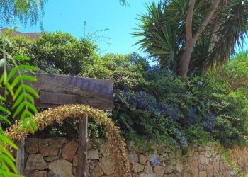 Giardino - Rustico contrada Valle Nuccio, Alcamo - foto 35