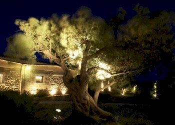 Dettagli - Rustic SP79, Menfi - photo 6