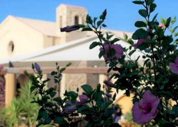 Dettagli - Rustic SP79, Menfi - photo 8