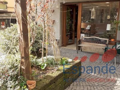 Bar Tavola Calda - Fredda Loiano - foto 2