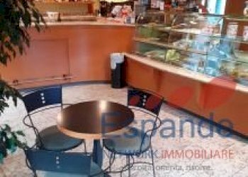 Bar Tavola Calda - Fredda Loiano - foto 5