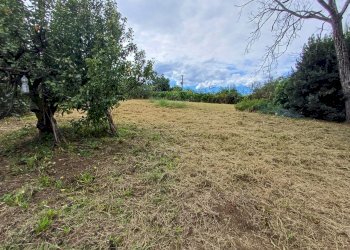 Villa Unifamiliare Agazzano - foto 3