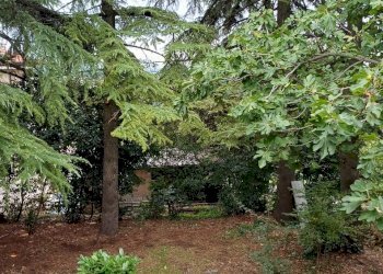 Villa Unifamiliare Agazzano - foto 31