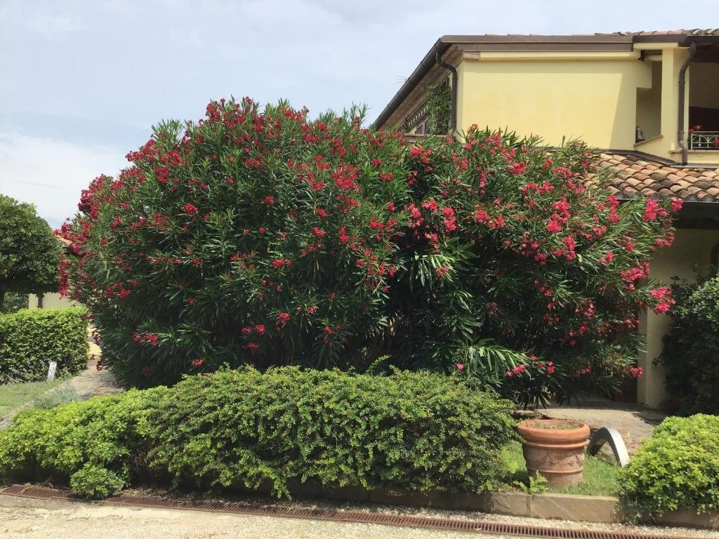 Appartamento in Villa Gabicce Mare - foto 2