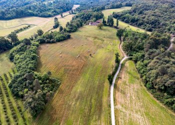 Terreno agricolo Via Casolari Superiori, Montaldo Roero - foto 1