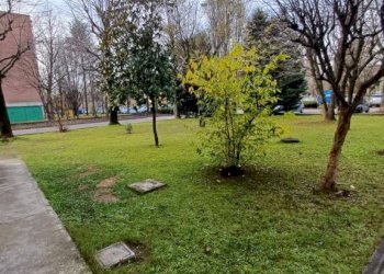 Giardino - Quadrilocale via Arno, Soliera - foto 26